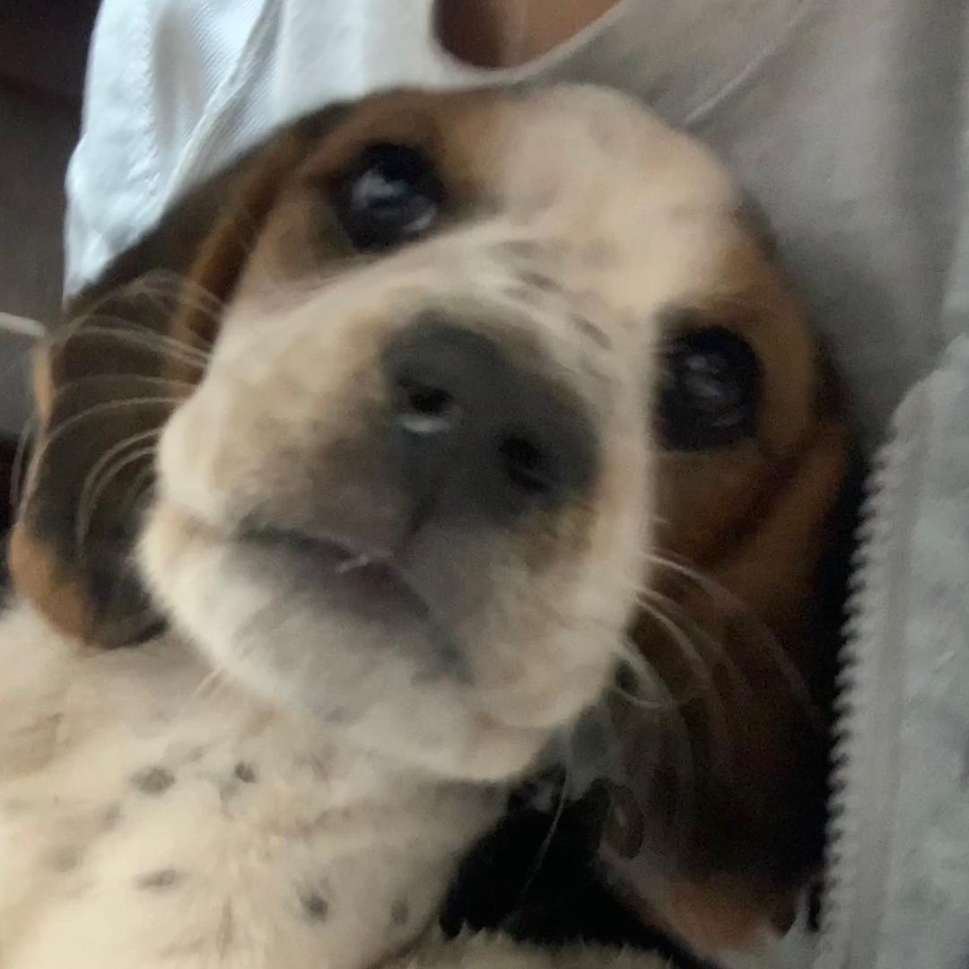 金锁制药厂（求互关版）