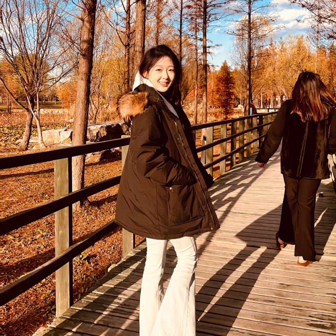 斑馬🦓