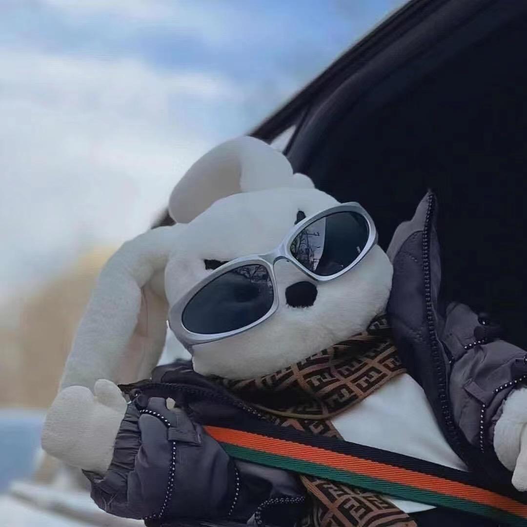 嗨兔DJ音乐（车载U盘 ）