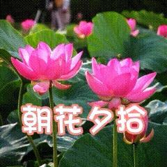 难包万