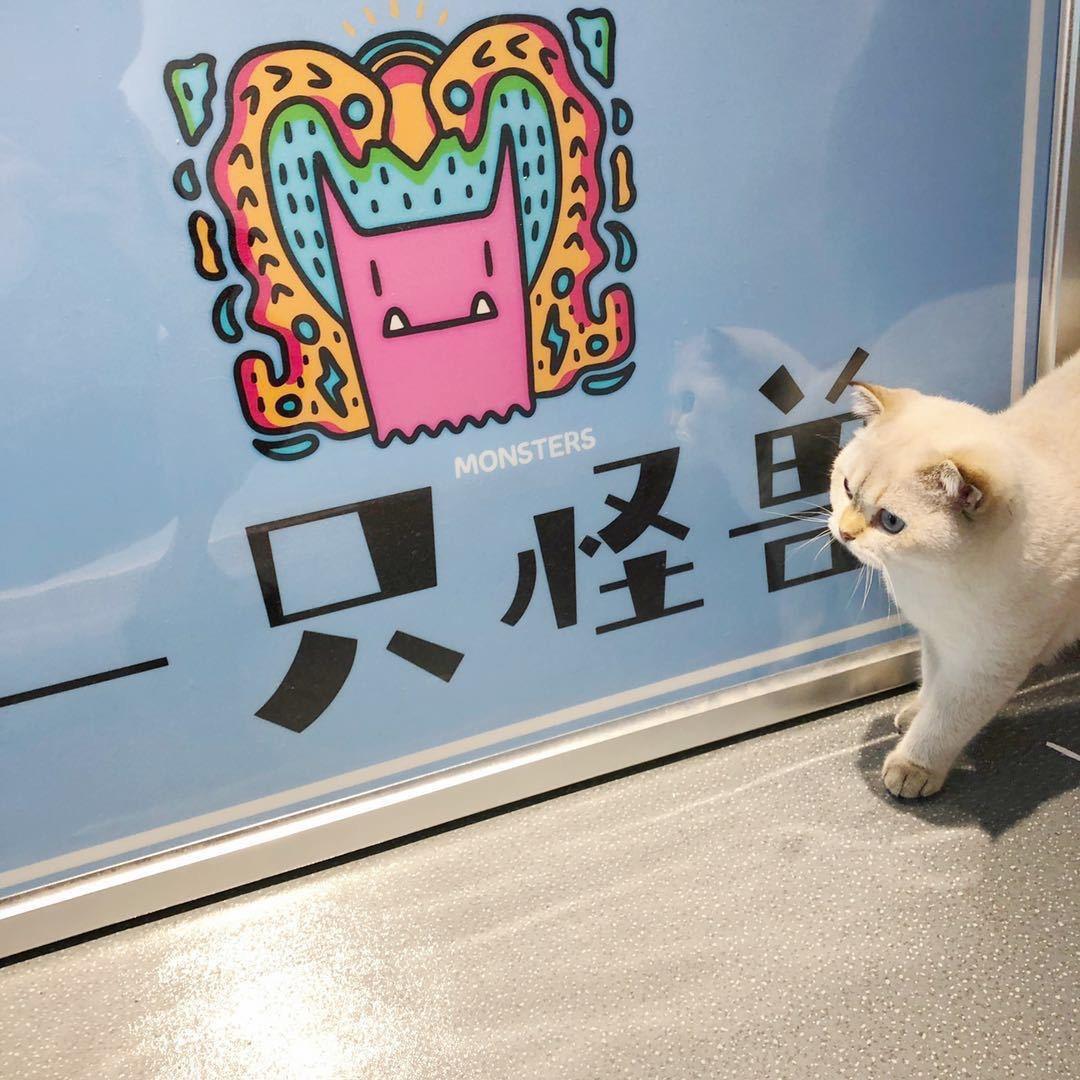 一只怪兽服装店