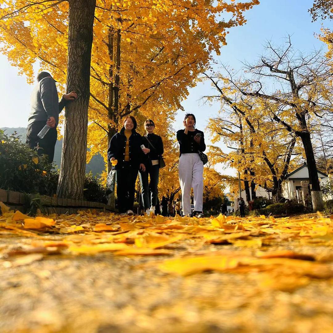 练市千万家中介