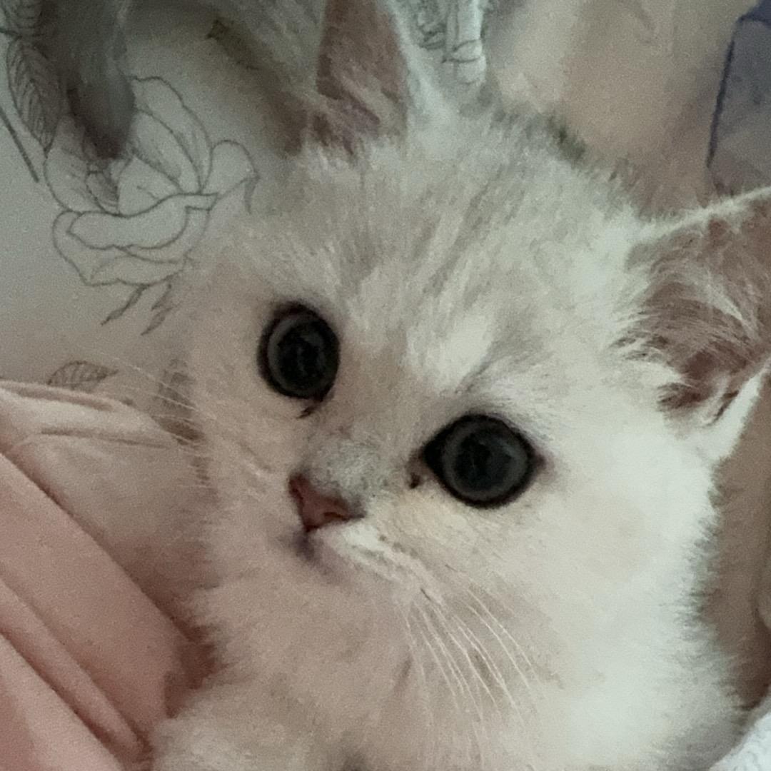 yoyo～