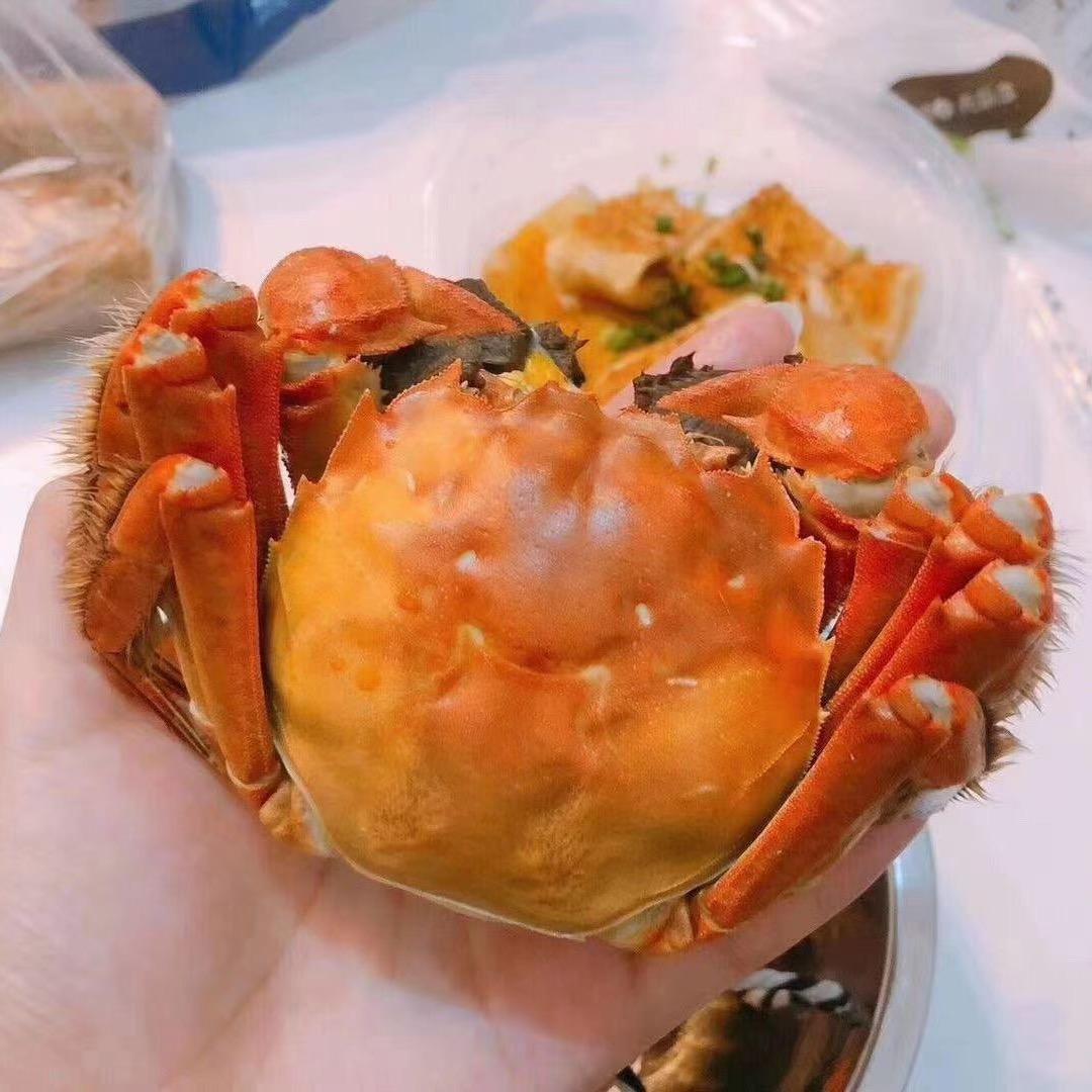 华仔蟹档