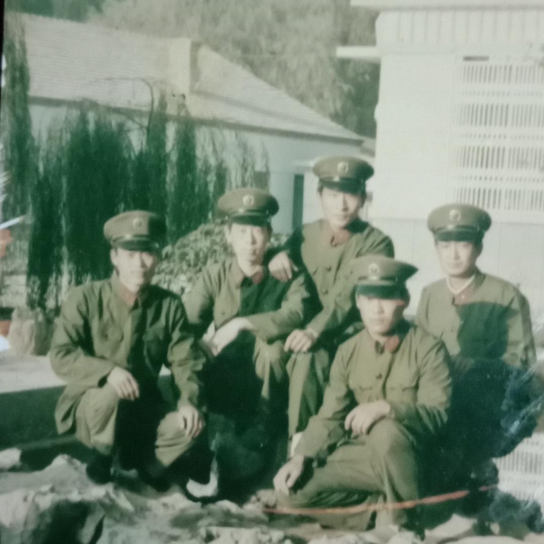 天山雪莲🌺🌺