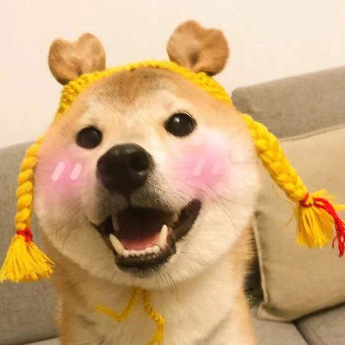 萌宠快乐多