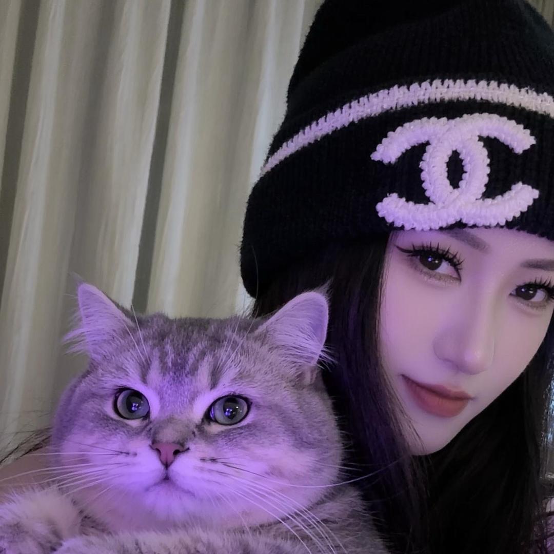 ღ᭄ꦿ 巷子里的猫এ