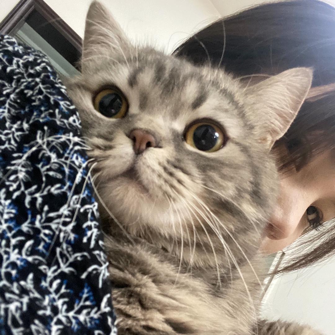 胖头鱼不是鱼