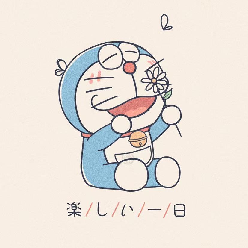 鸢-