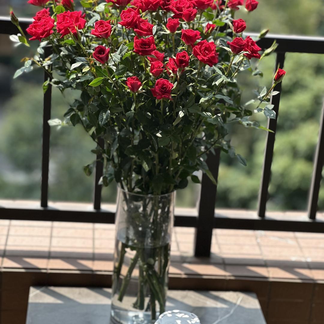 雯雯的美麗衣橱