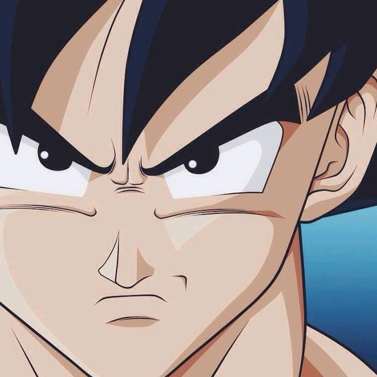 孤鹜（百段中辅）