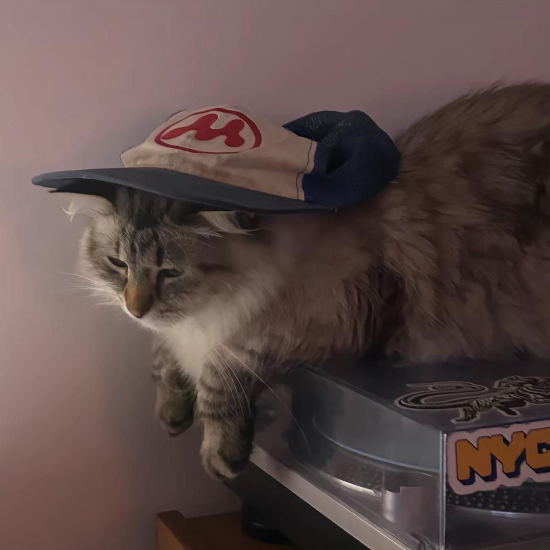 狙叭