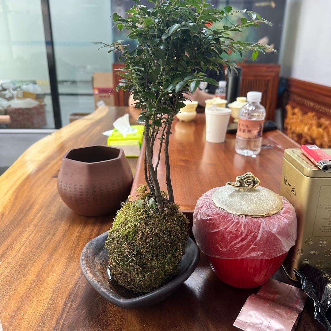 乐途@