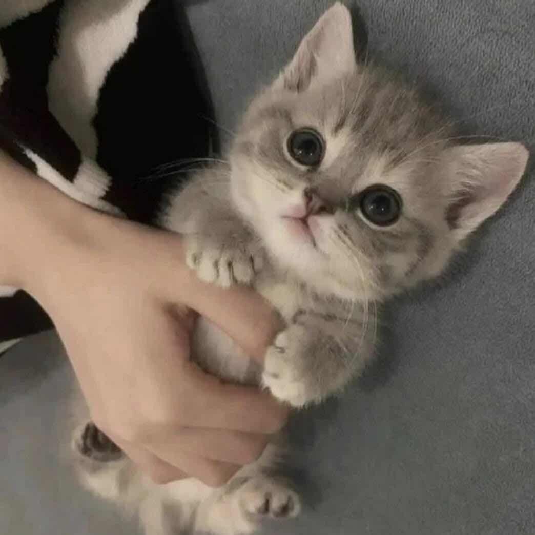 相拥