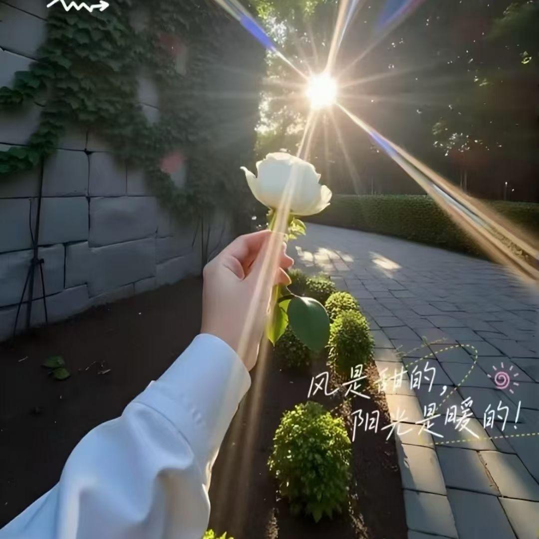 大风吹倒梧桐树