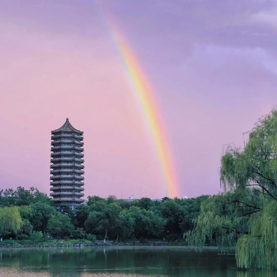 追风的泽乾君