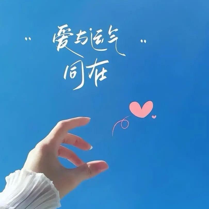 ঞ໊𝑭𝒊𝒏𝒐𝒔𝒉ﻬ 💕