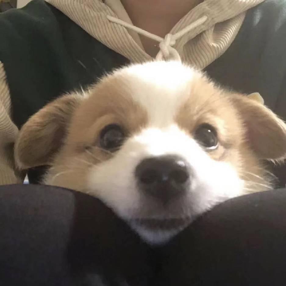 殊途