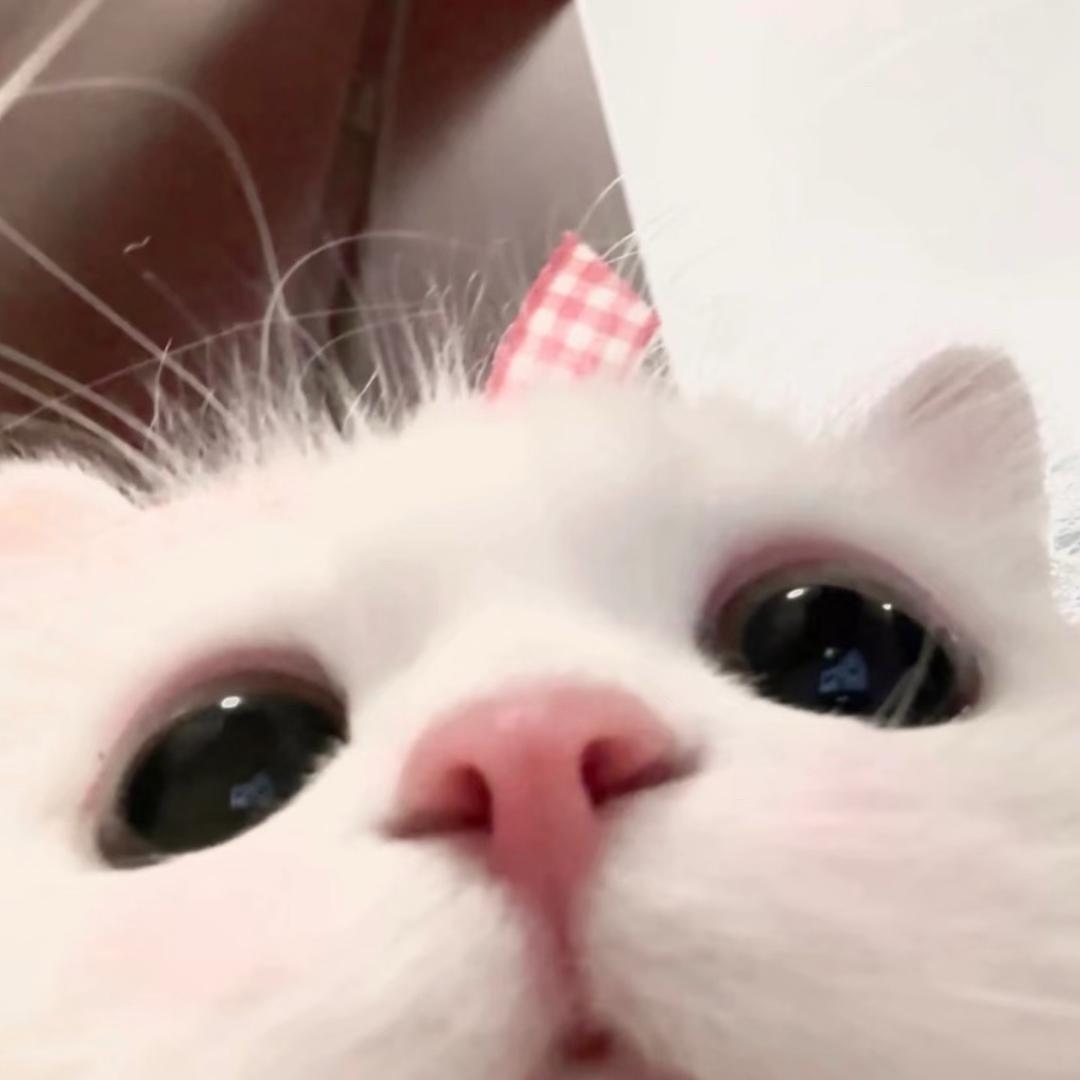 1inn_