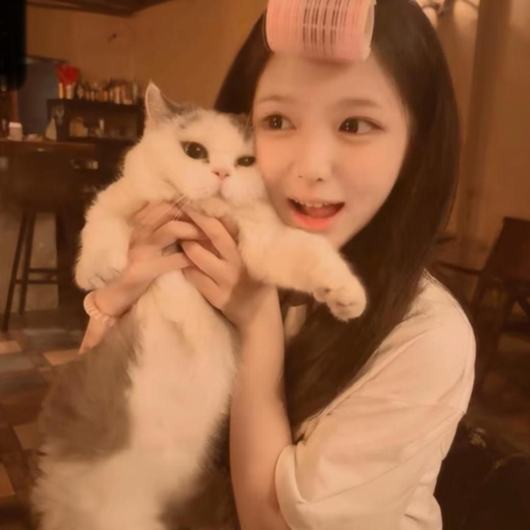 妮酱