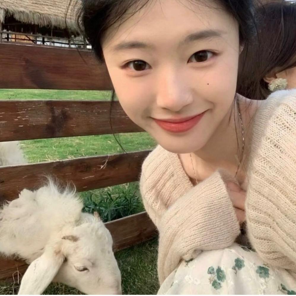 翻斗花园小美🌾