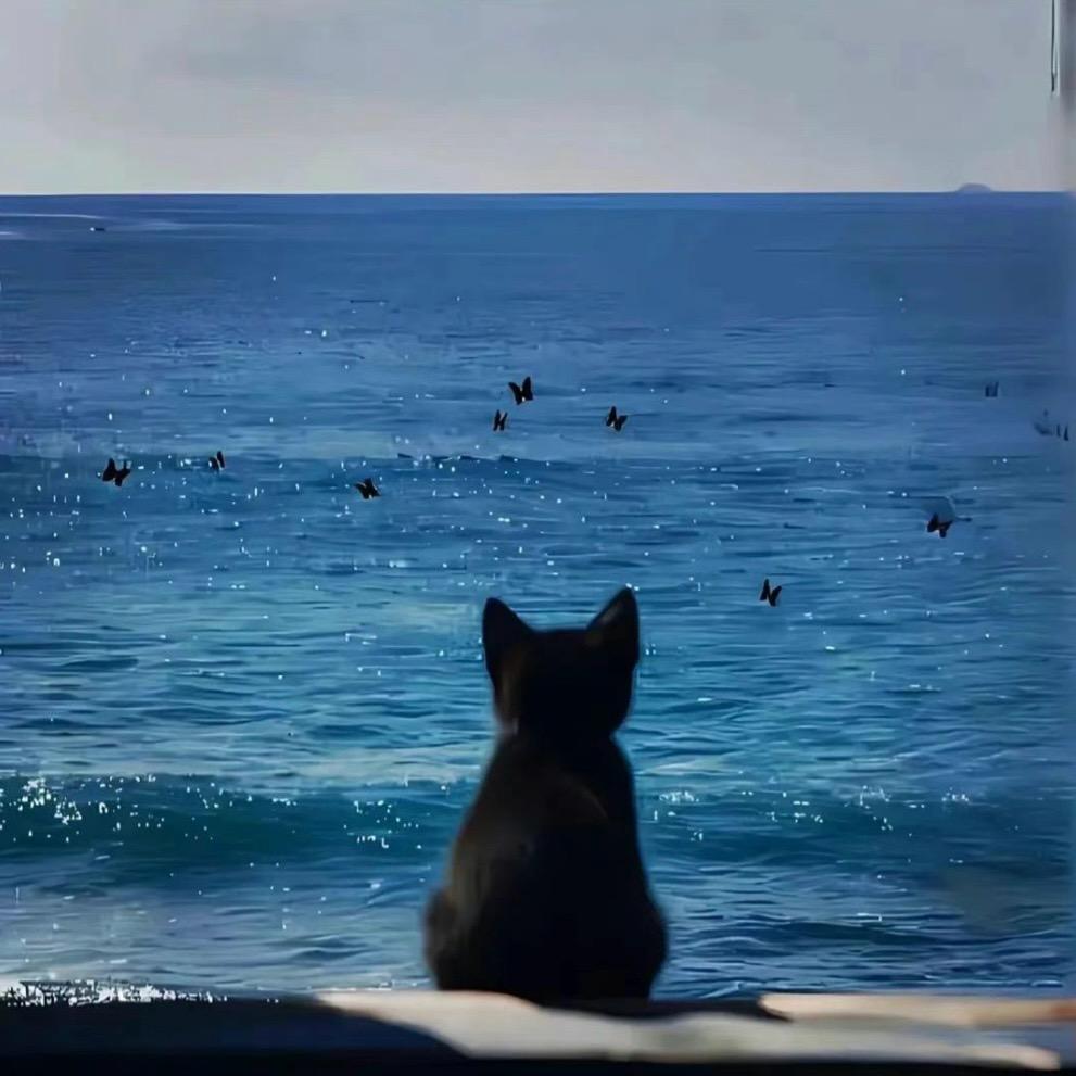 猛禽