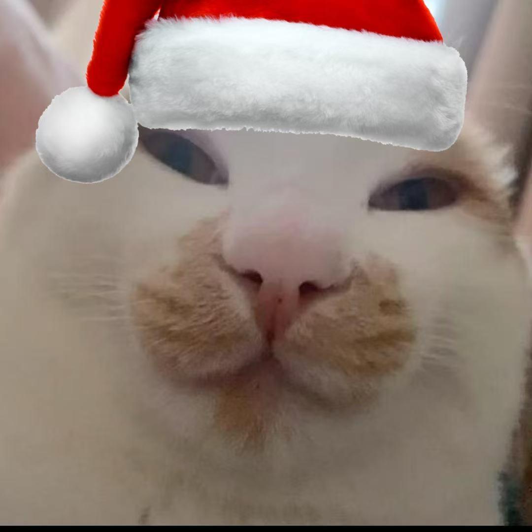 无敌狂暴巨兽战龙王