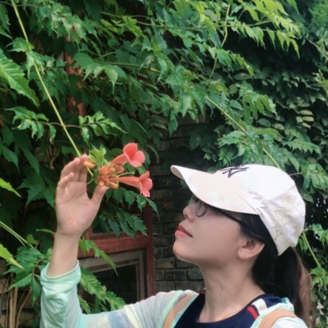 午后阳光