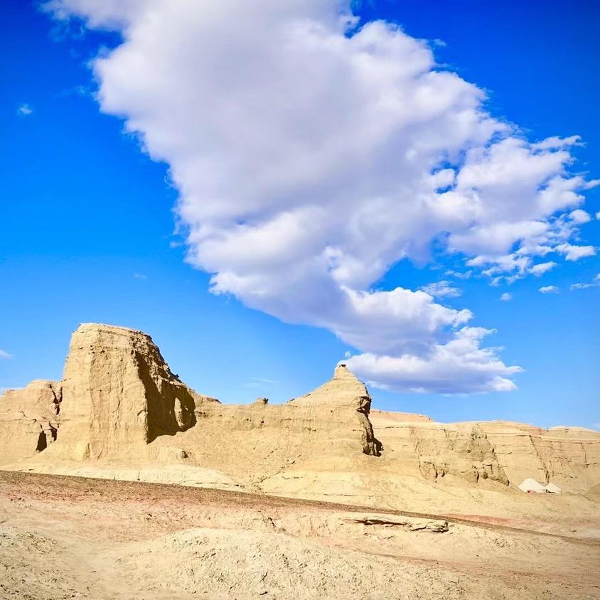 玄武团+旅行者！