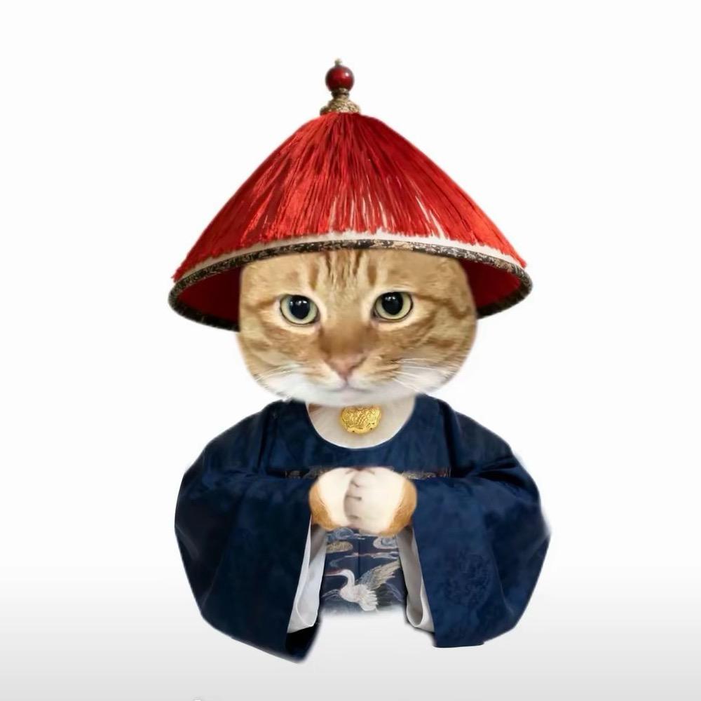 鸡丁