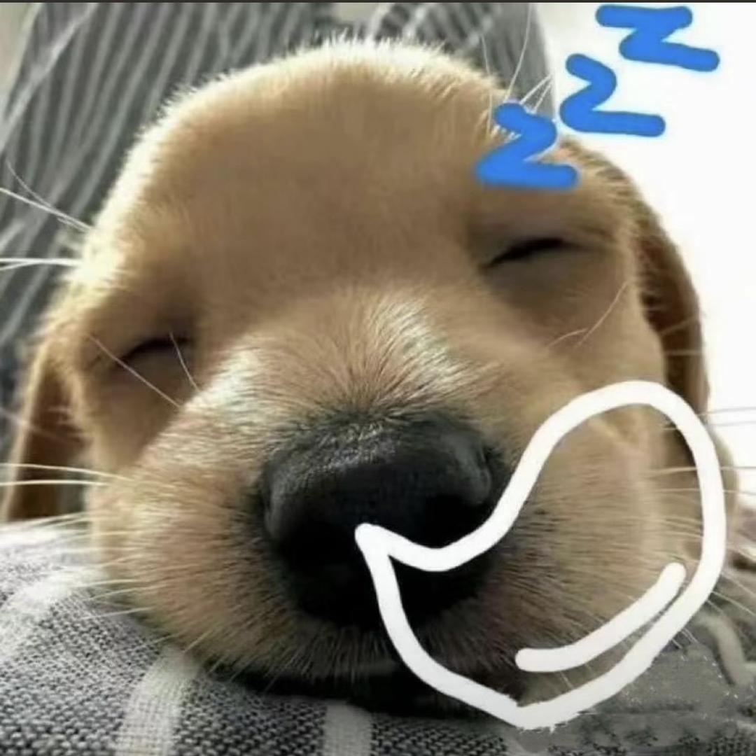 是土豆不是破忒