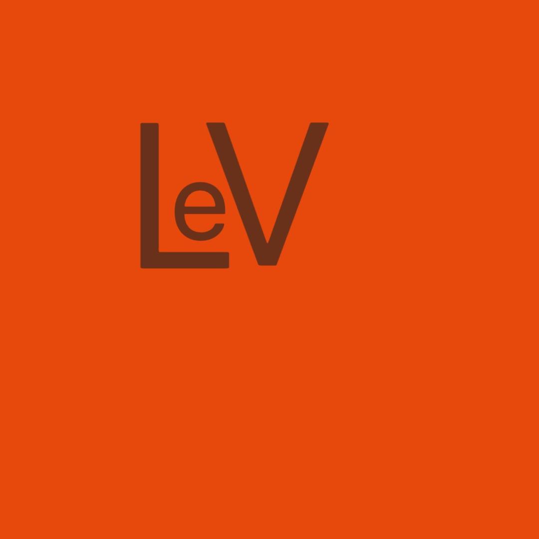 LEV洛厄威轻奢太阳镜