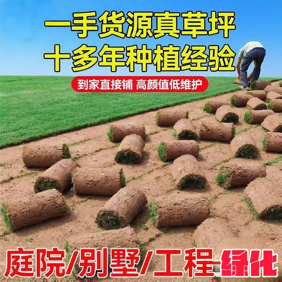 诚信绿化苗木基地