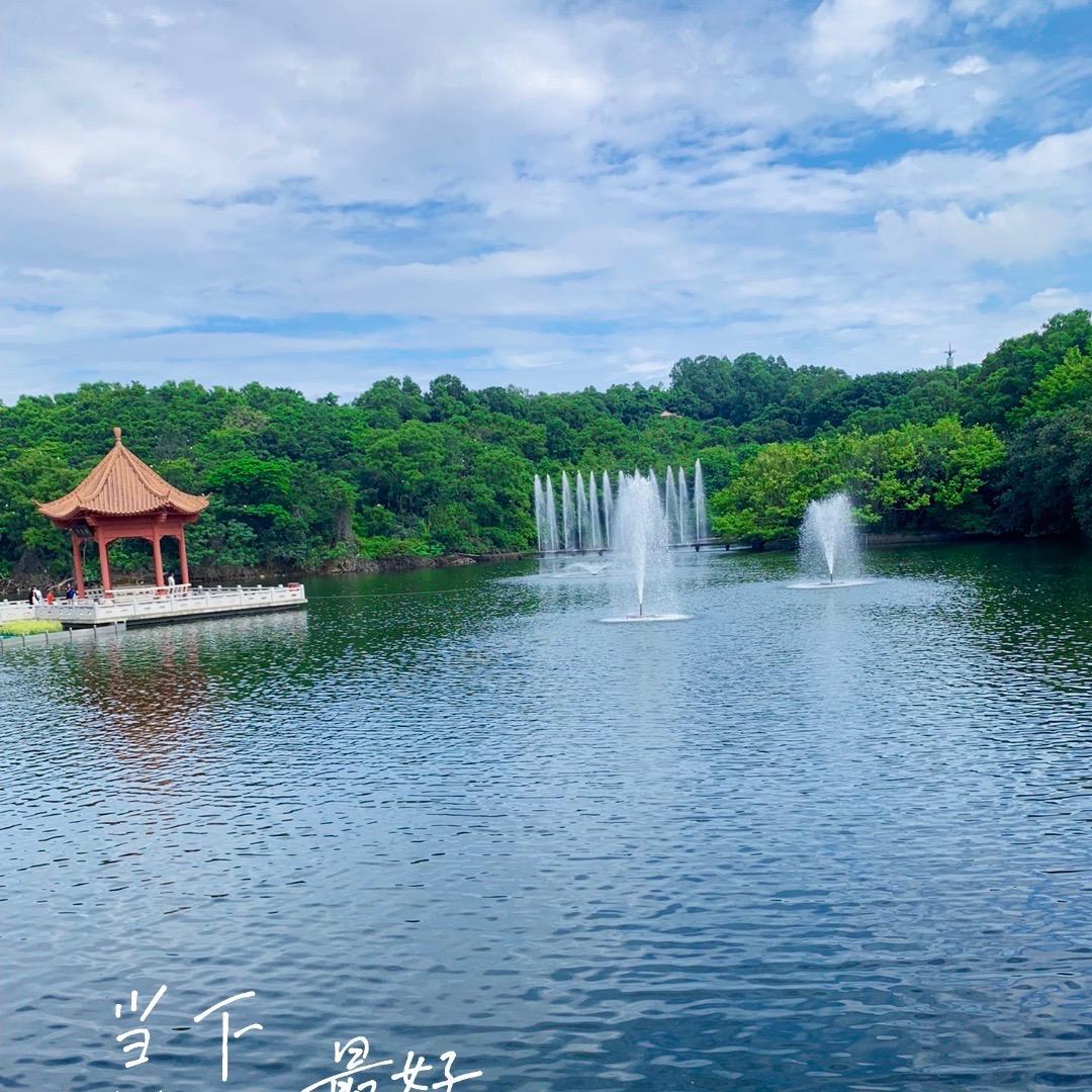 紫气东来🌸高尔夫