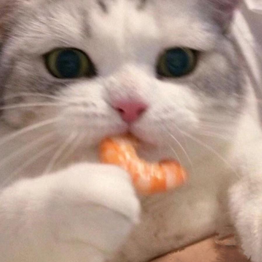 虾仁不眨眼.🍤
