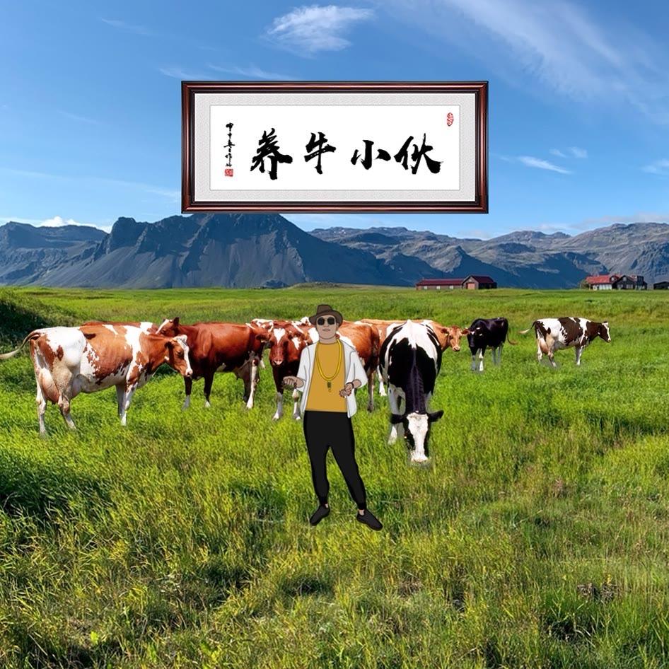 铁牛🐮掌门