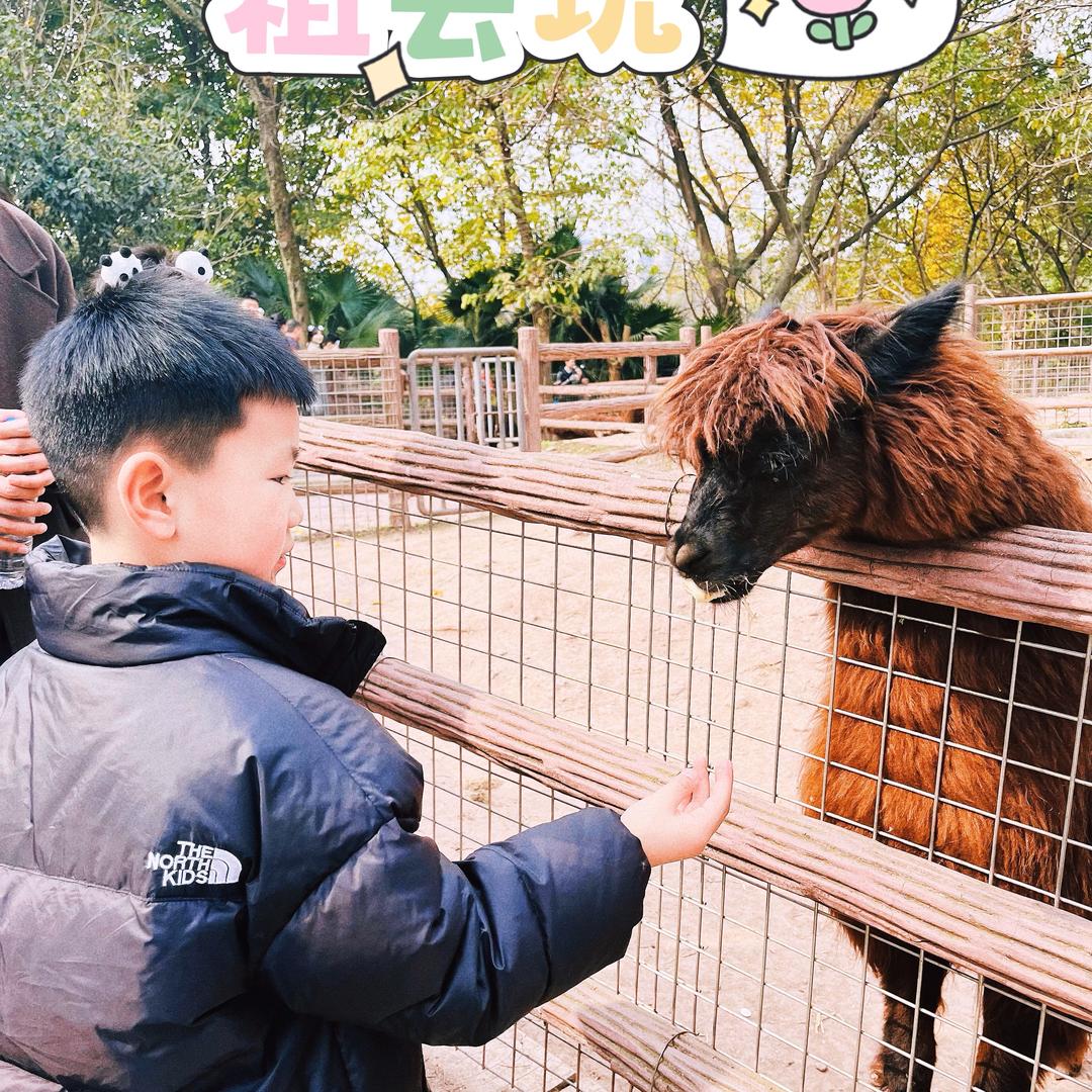 @伶