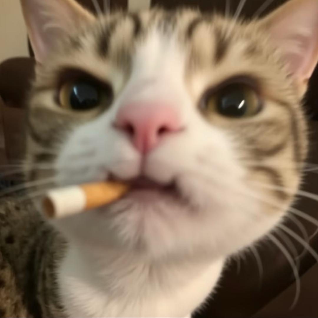 Fzhhhhhh