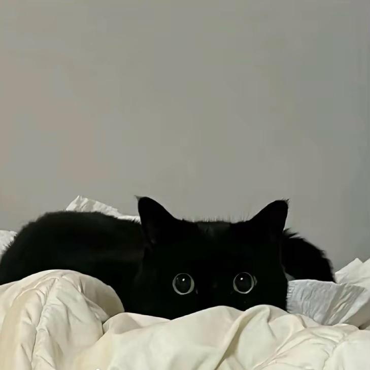 佳妹.