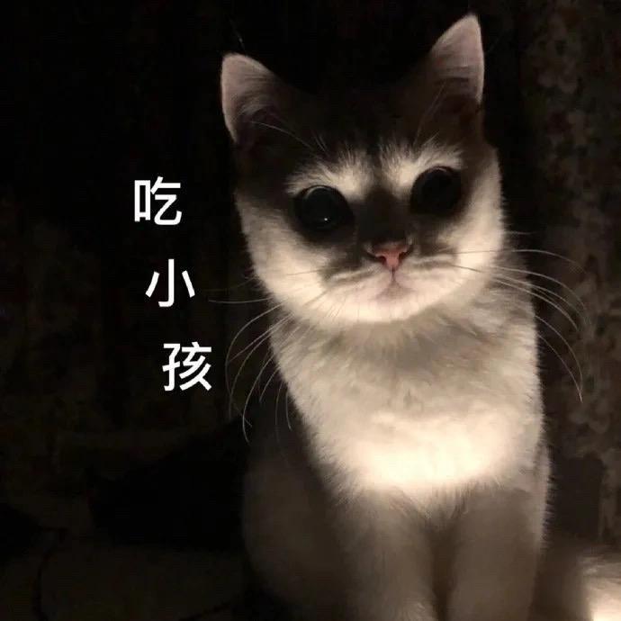 后来烟雨落盛京      一人撑伞两人行