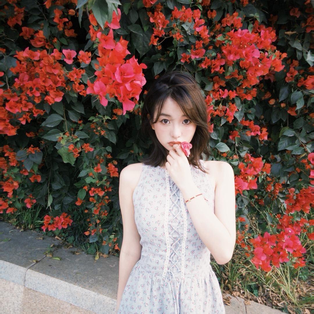 木子歡
