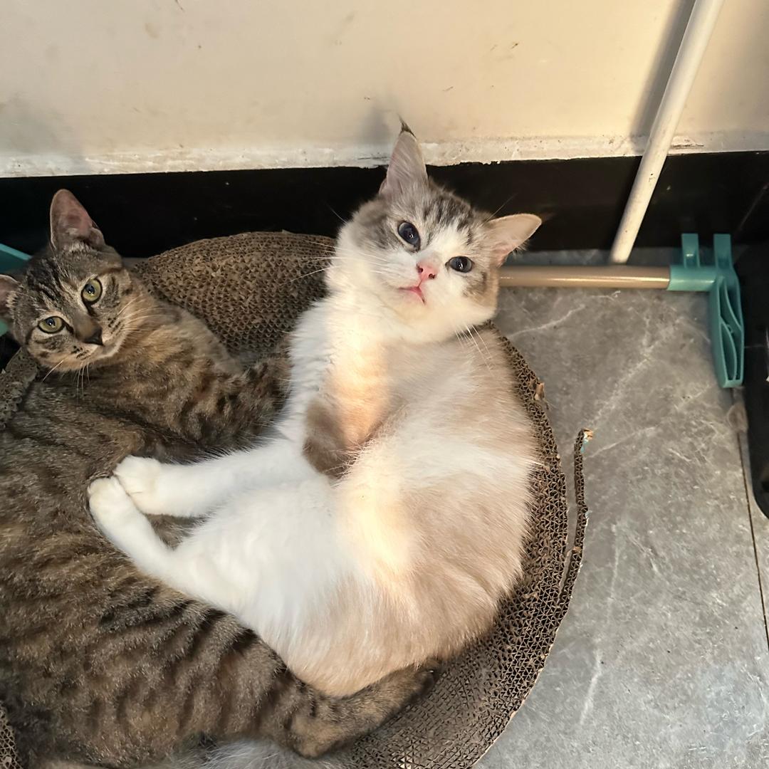 马大漂好物分享