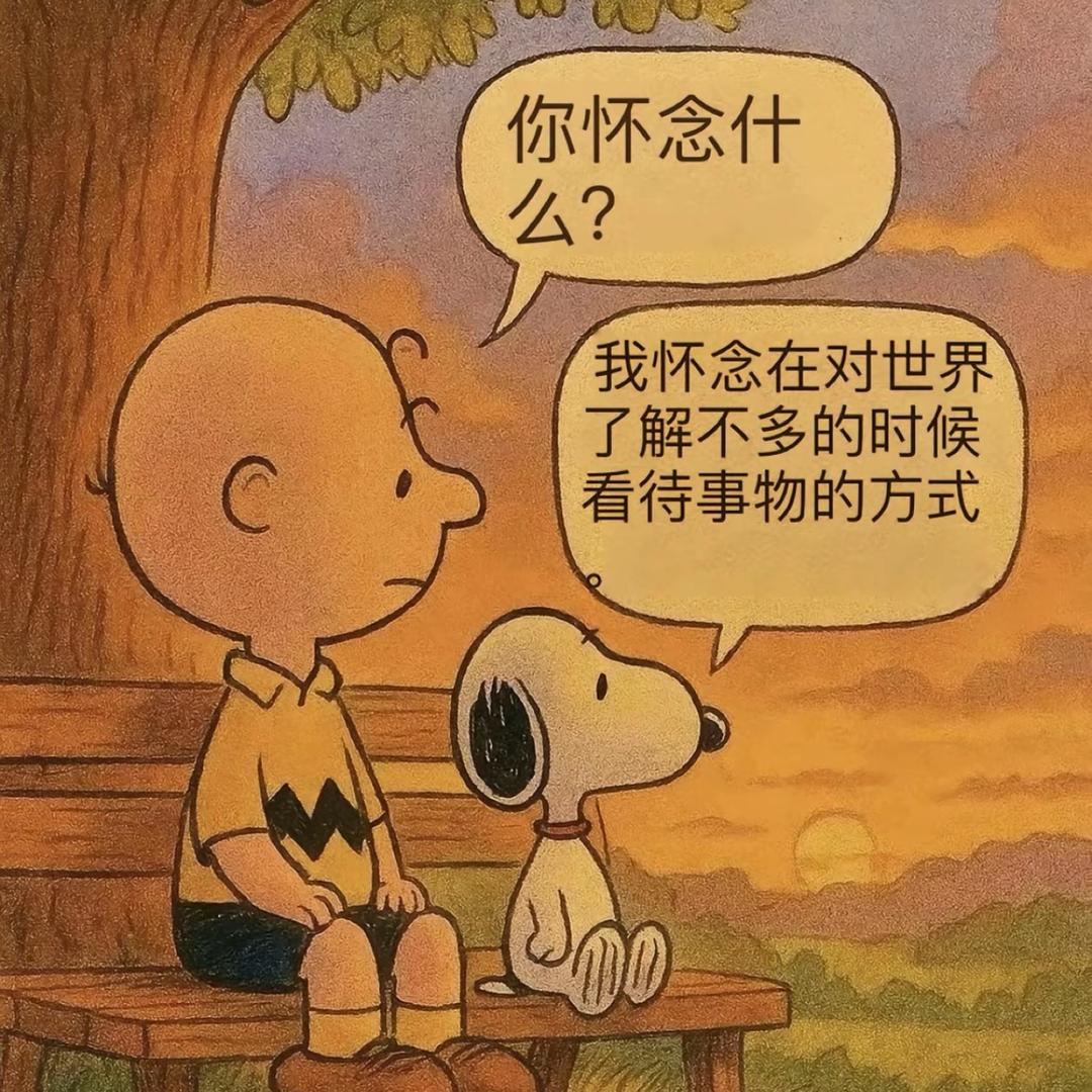 白桦没有树