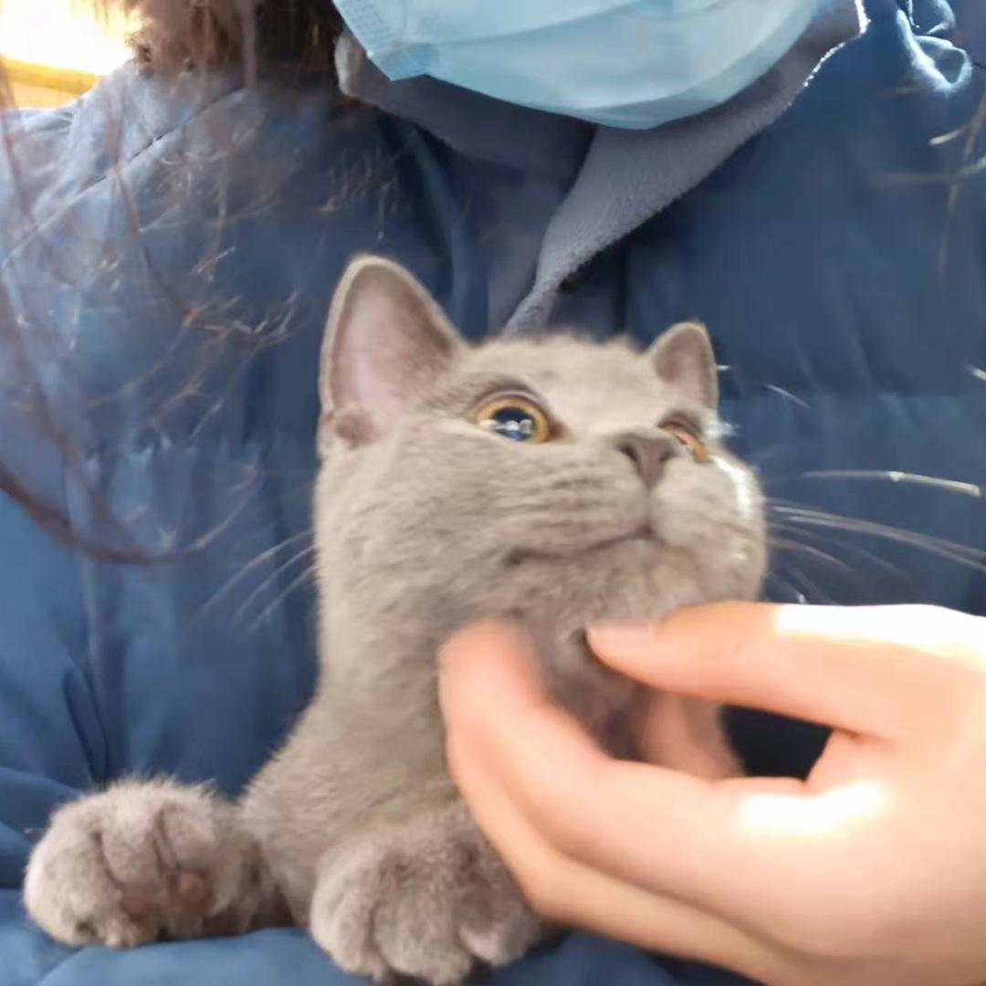 小赵。