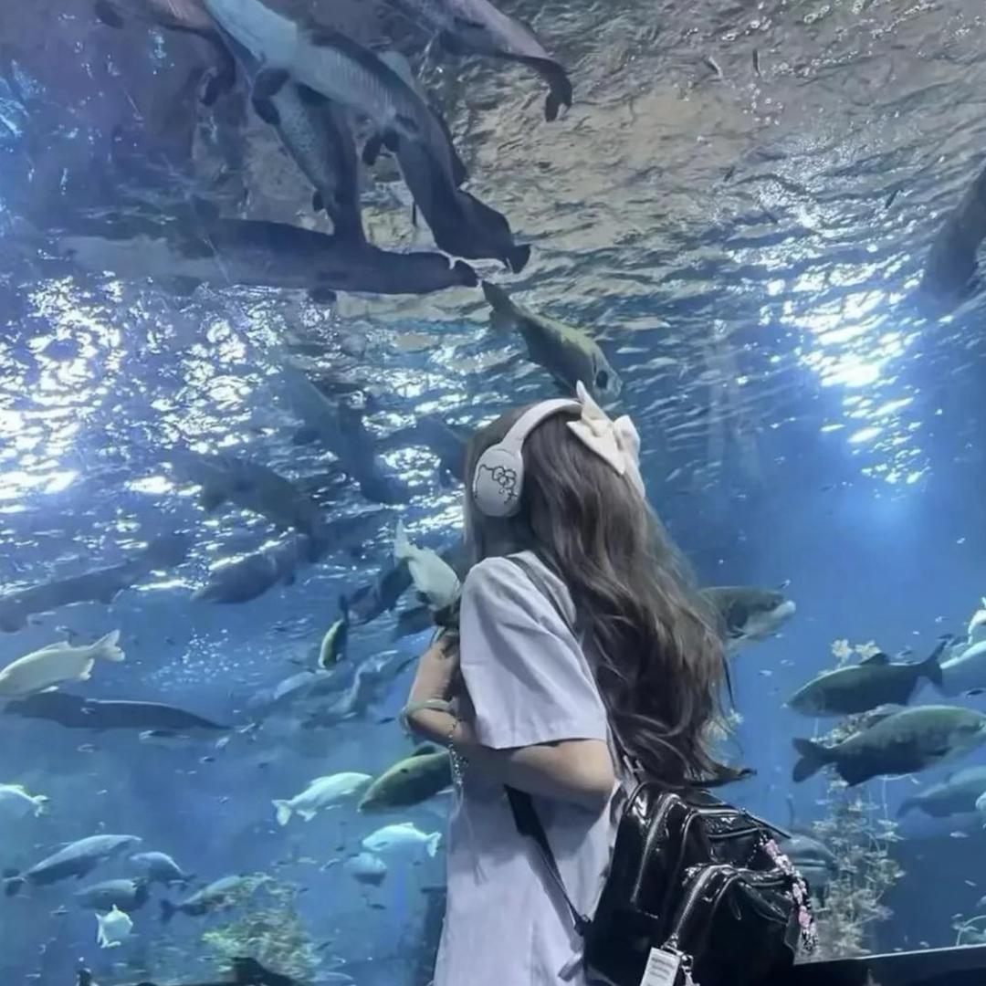 是🦋冰冰🦋呀