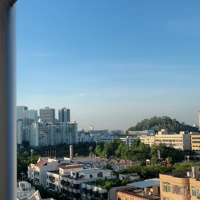 国际物流从业者郝陈