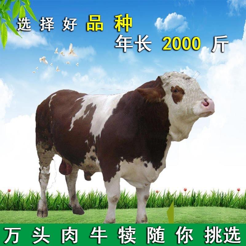 李李的养殖场