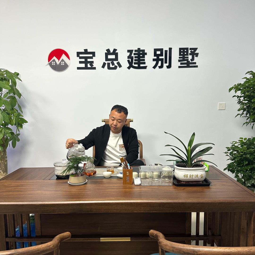 宝总建别墅
