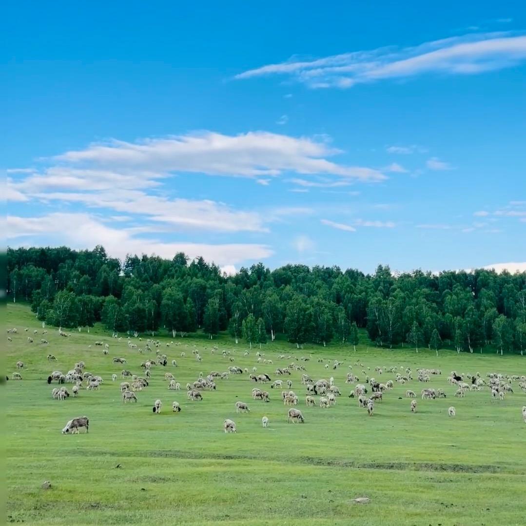 心娜批发超市官方号
