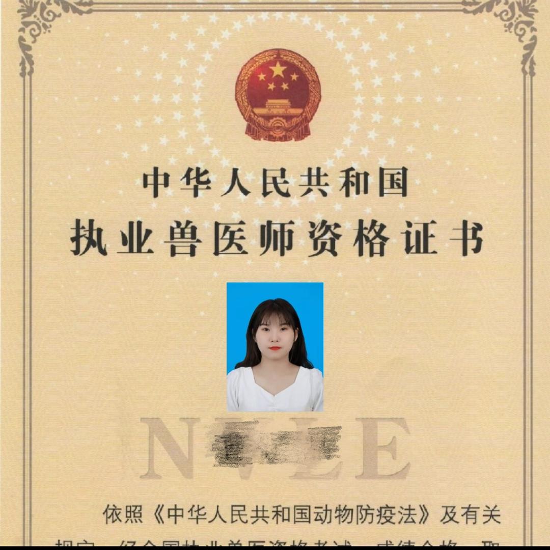 晶晶养殖技术指导(专注鸡鸭鹅鸽子家禽)